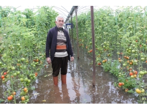 Sel Mersin’de Tarım Arazilerini Vurdu