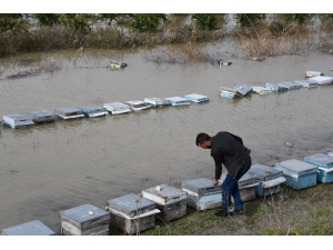 Mersin’de Selden Sonra Ağır Bilanço