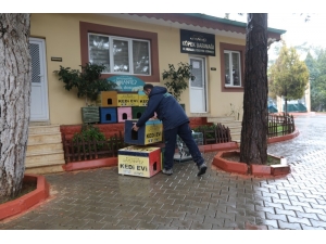 Sokak Kedileri Kışın Üşümeyecek