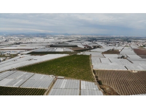 Mersin’de Kuvvetli Yağış Ekili Alanları Vurdu