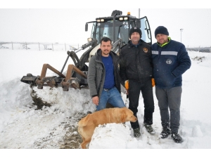 Kar Yağışı Yüzünden 2 Gün Boyunca Mahsur Kaldılar