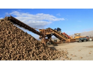 Malatya Şeker Fabrikası’na 56 Personel Alınacak