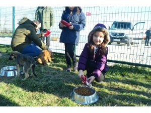 Lüleburgaz’da Sokak Köpeklerine 1.7 Ton Mama Dağıtıldı