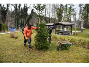 10 Yılda 150 Bin Fidan Dikildi