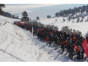Ateş Karıncaları Sarıkamış’ta