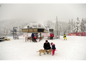 Ilgaz Güzelliğiyle Kartpostalları Aratmıyor