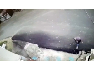 Hırsızlık Yaptıktan 1 Saat Sonra Yakalandı