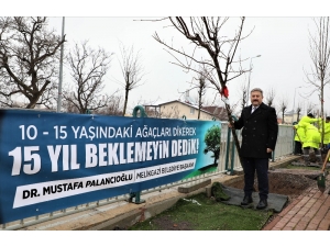 Gazetecilere Özel Ağaç Dikimi Yapılacak