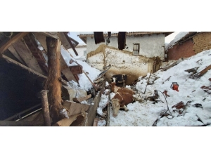 Üzerinde Kar Biriken Ahırın Çatısı Çöktü, Hayvanlar Enkaz Altında Kaldı