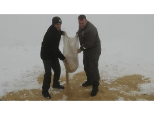 Doğadaki Hayvanlar Aç Kalmasın Diye Yem Bıraktılar