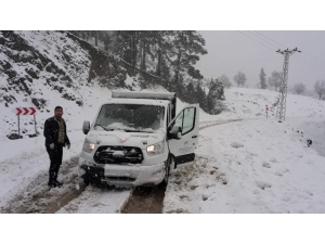Yaralı Köpek, Yoğun Karda Donmaktan Kurtarıldı