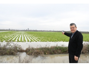 Barut: "Üreticinin Mağduriyeti Büyük"