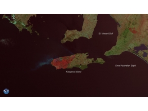 Kanguru Adası’nın Üçte Biri Yandı