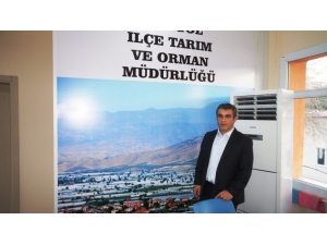 Sarıgöl Üzümünün Yüzde 80’i İhraç Edildi