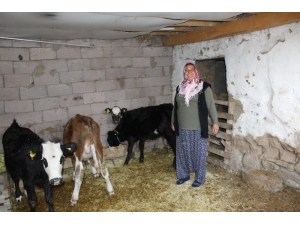 Engelleri Aşarak Kendi İşinin Patronu Oldu