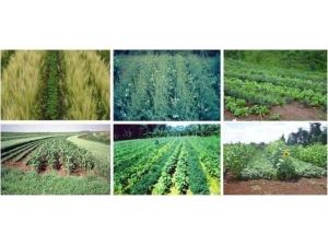 Tarımsal Desteklemeler İçin ’Ekim Nöbeti’ Uygulamasına Dikkat