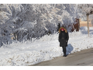 Doğu Anadolu’da Dondurucu Soğuklar Etkili Oluyor