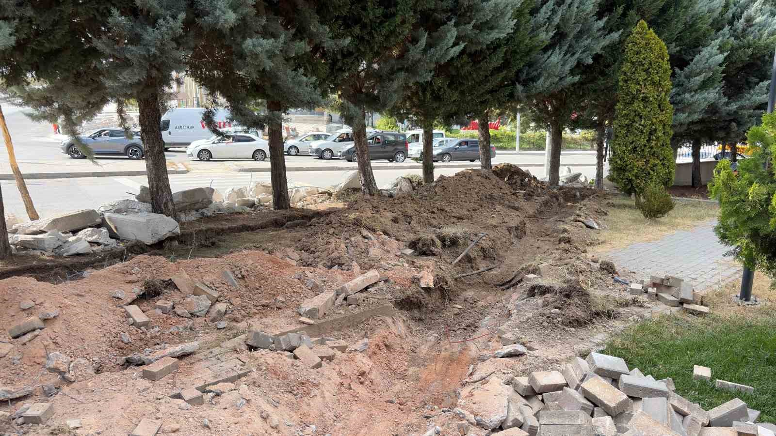 ankara-da-yol-genisletme-calismalarinda-40-agacin-kesilmesi-kararina-tepki