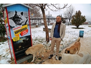 Boks Makinesinden Esinlendi, Sokak Hayvanları İçin Mamamatik Yaptı