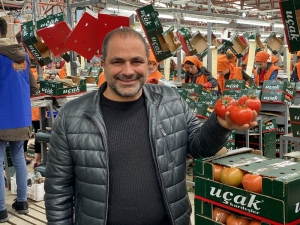 Domatesi Arılar Üretiyor, Hormon Söylentileri Tarihe Karışıyor