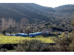 Selçuk’ta Roman Krizinde Önemli Gelişme: Talimat Kılıçdaroğlu’ndan