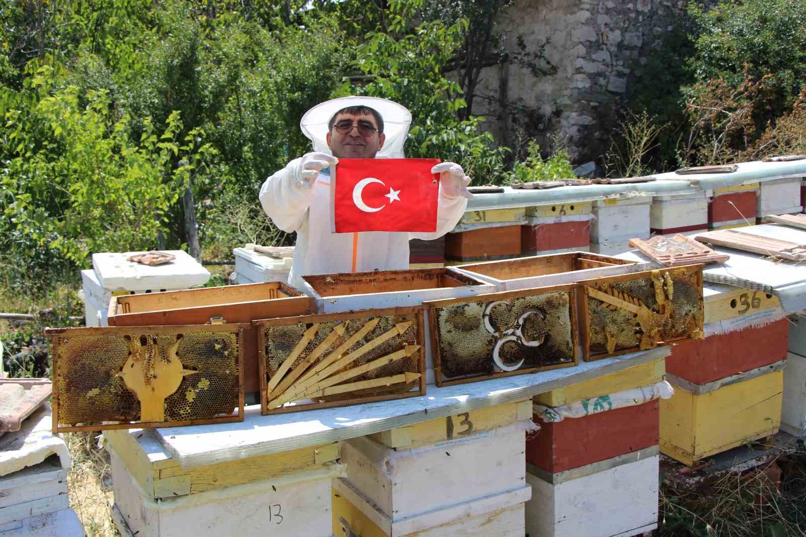 amasya-da-arilarin-secimi-sonuclandi