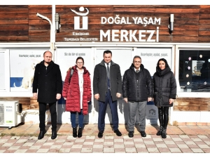 Sokak Hayvanları İçin İş Birliği