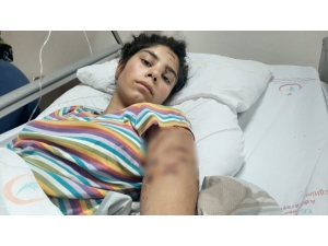 Adıyaman’da Köpek Dehşeti