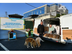 Beylikdüzü Hayvan Bakımevi’ne 500 Kilo Mama Bağışı