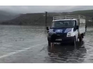 Araçlar Botan Çayı’nda Mahsur Kaldı