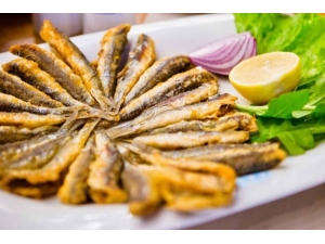 Hayde Hamsi Festivaline