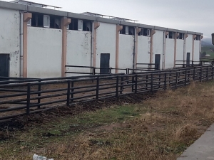 İkinci Çiftlik Bank Vurgununda 5 Tutuklama Daha