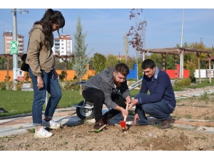Özel Gereksinimlilere Yeni Uygulama