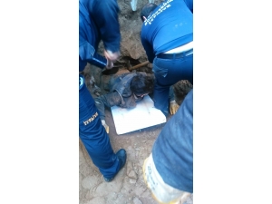 Denizli’de Dengesini Kaybeden İşçi Toprağın Altında Kaldı