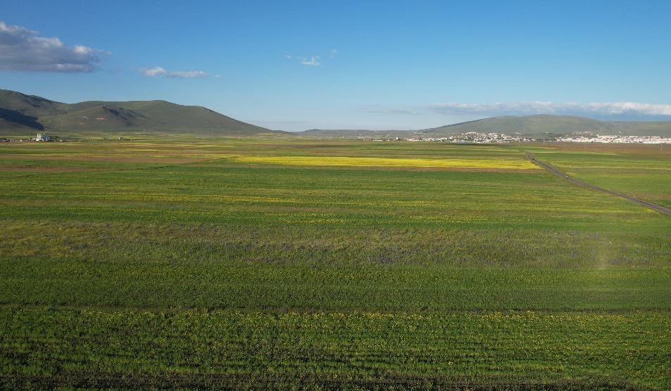 yazin-renk-cumbusune-burunen-ardahan-ovasi-havadan-goruntulendi
