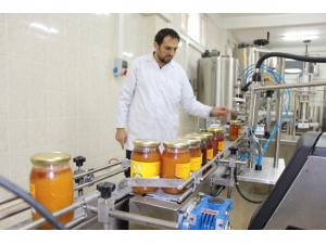 Son Yıllarda Yaşanan İklim Değişikliği Bal Üretimini Olumsuz Etkiliyor