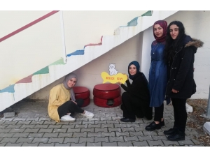 Hurda Lastikler Sokak Kedilerine Yuva Oldu