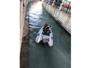 Dere’ye Düşen Köpeğin İmdadına İtfaiye Yetişti