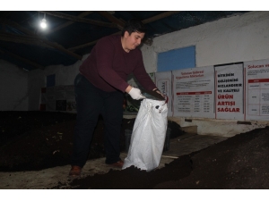 Her Gün Yarım Saatini Ayırarak Yılda 120 Bin Tl Kazanıyor