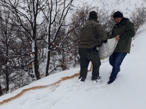 Elazığ’da Yaban Hayvanları İçin Doğaya Yem Bırakıldı