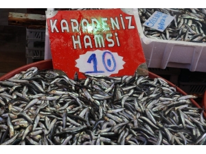 Hamsi Yüz Güldürdü