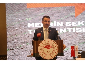Bakan Pakdemirli: "Tarım Ve Gıda Savunma Sanayi Kadar Önemli"