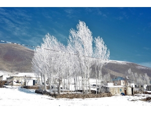 Çaldıran’da Hayat Durdu