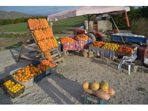 Adana’dan Hediyelik Portakal