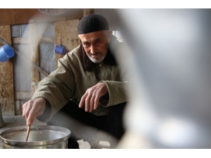 Tenceresi 10 Yıldır Kediler İçin Kaynıyor