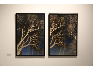 Doğayı Sanata Yansıttılar