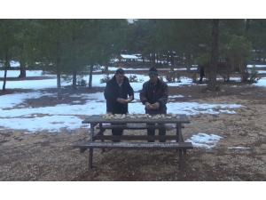 Muhtarlar, Yaban Hayvanları İçin Ormana Yiyecek Bıraktı