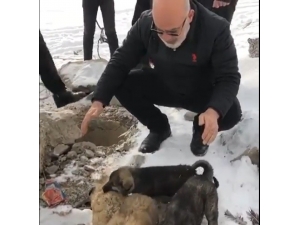 Su Kuyusuna Düşen Yavru Köpekleri İtfaiye Ekibi Kurtardı