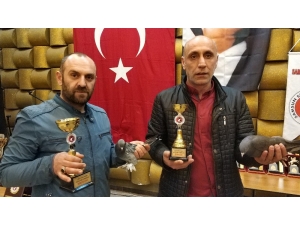 Samsun’da Güvercin Güzellik Yarışması Düzenlendi