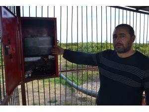 Narenciye Hırsızlarına Karşı Bahçe Sahibinden Güvenlik Kameralı Önlem